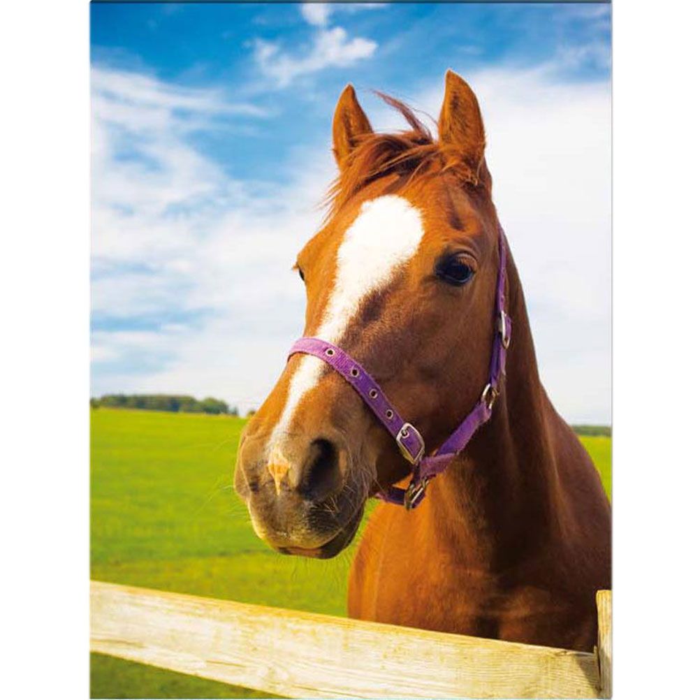 Sweat à Capuche Enfant Imprimé Cheval - Manches Longues, Polyester Doux, Pour Quotidien, école, Sport