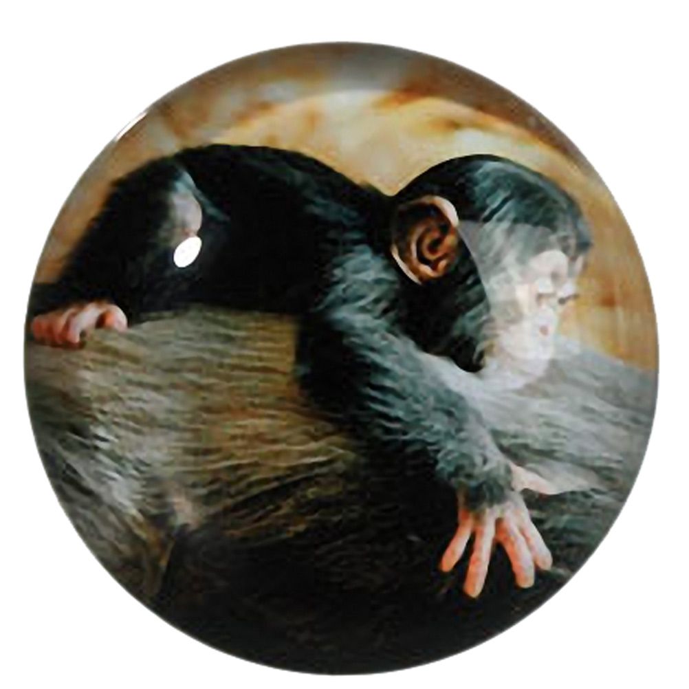 Magnet bb chimpanz en verre 3.5 cm