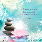 Cadre Citation Bouddha Zen 40 x 40 cm Le plaisir