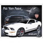 Plaque mtal Ford Shelby GT500 - 40.5 x 31.5 cm