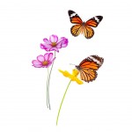 Sticker mural Fleurs et Papillons 55 x 44 cm