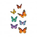 Stickers de vitres papillons