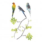 Stickers de vitres Oiseaux sur branches