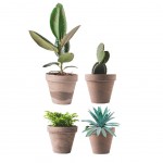 Stickers de vitres Plantes grasses, cactus et succulents en pots