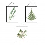3 Stickers cadres dcoratifs Herbiers