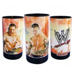 Tirelire m�tal WWE Batista et Randy Orton