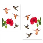 Stickers de vitres Hibiscus et colibris
