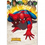 Plaque m�tal Spiderman