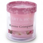 Bougie Votive Heart and Home 15 heures - Rosier Grimpant