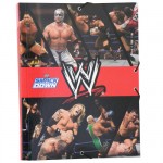 Trieur de bureau WWE