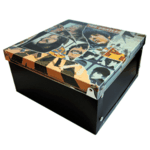 Boite de rangement Beatles Anthologie