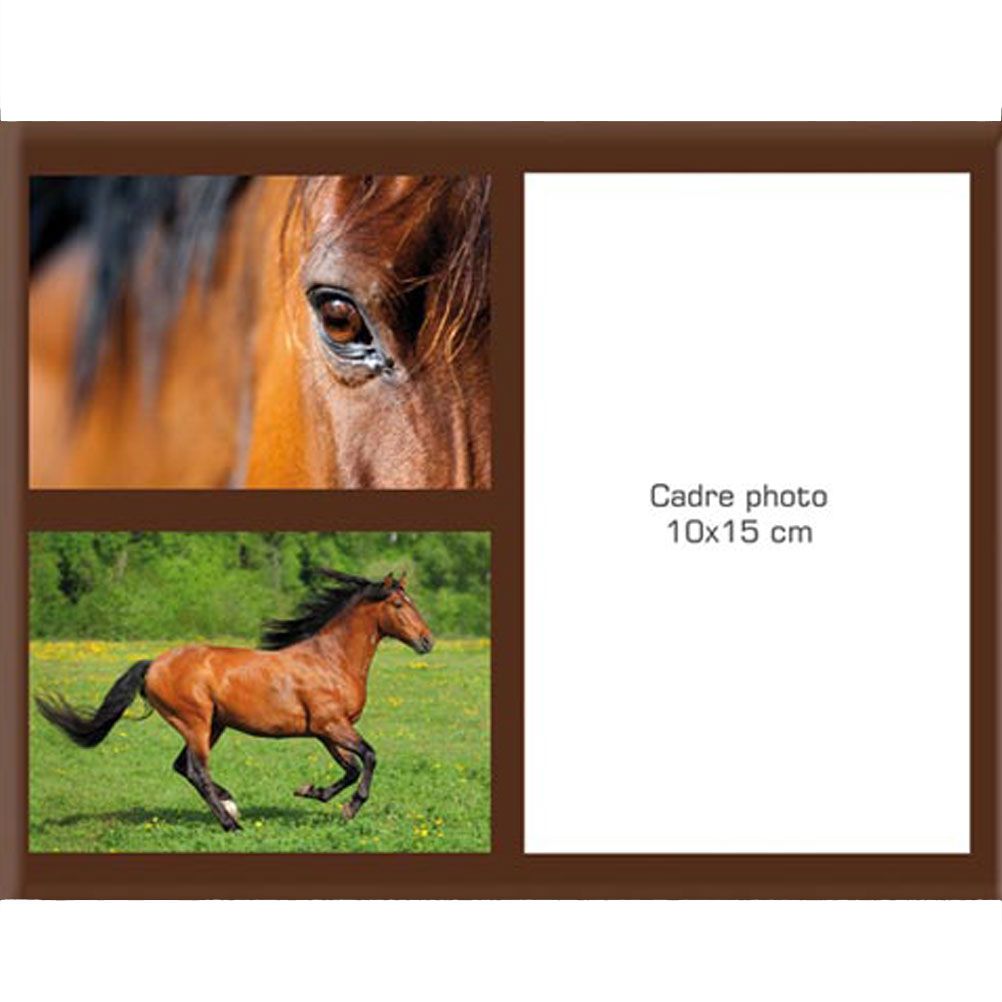 Cadre photo en verre L'Univers du cheval - Bai