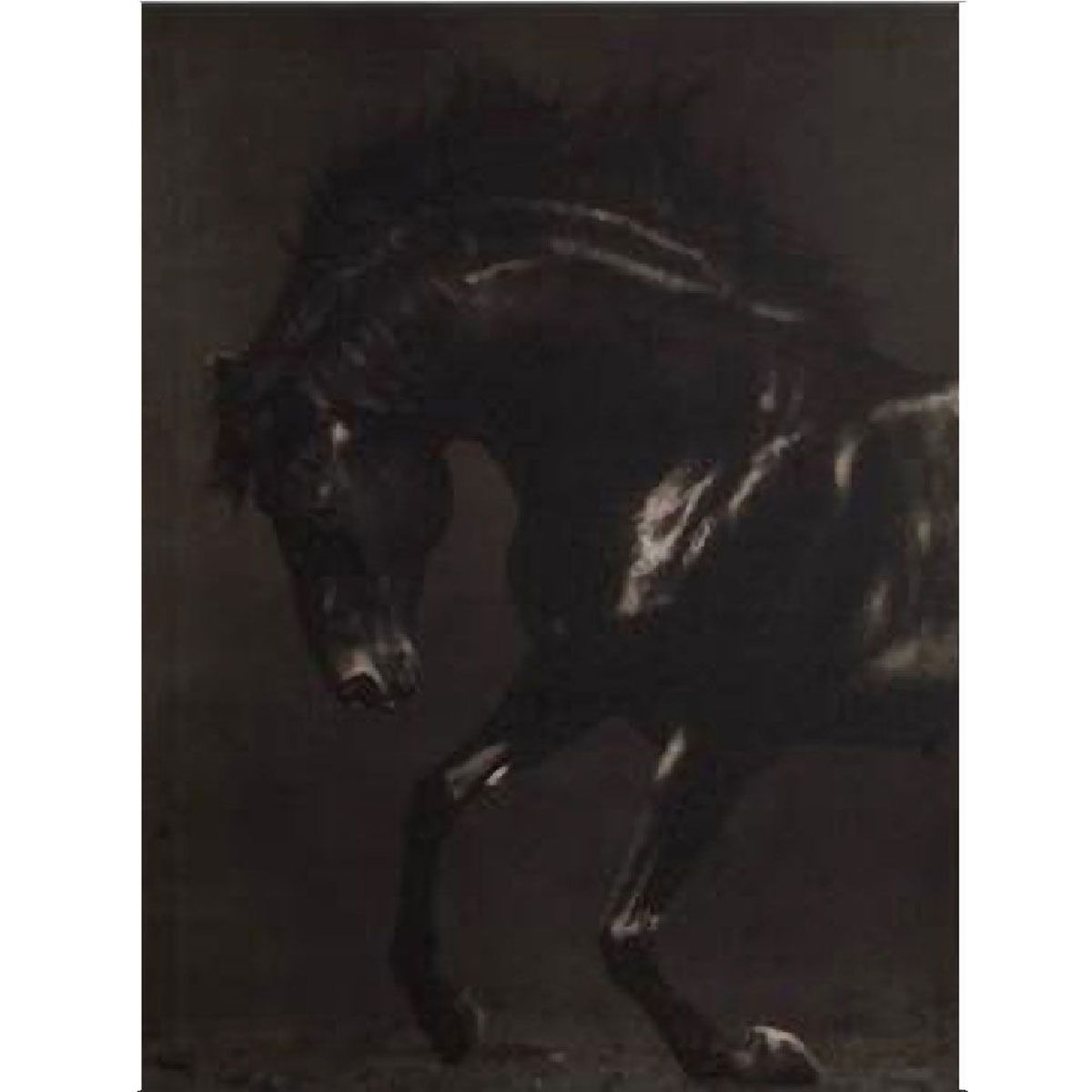 Cadre en toile imprime Cheval noir et blanc 50 x 40 cm