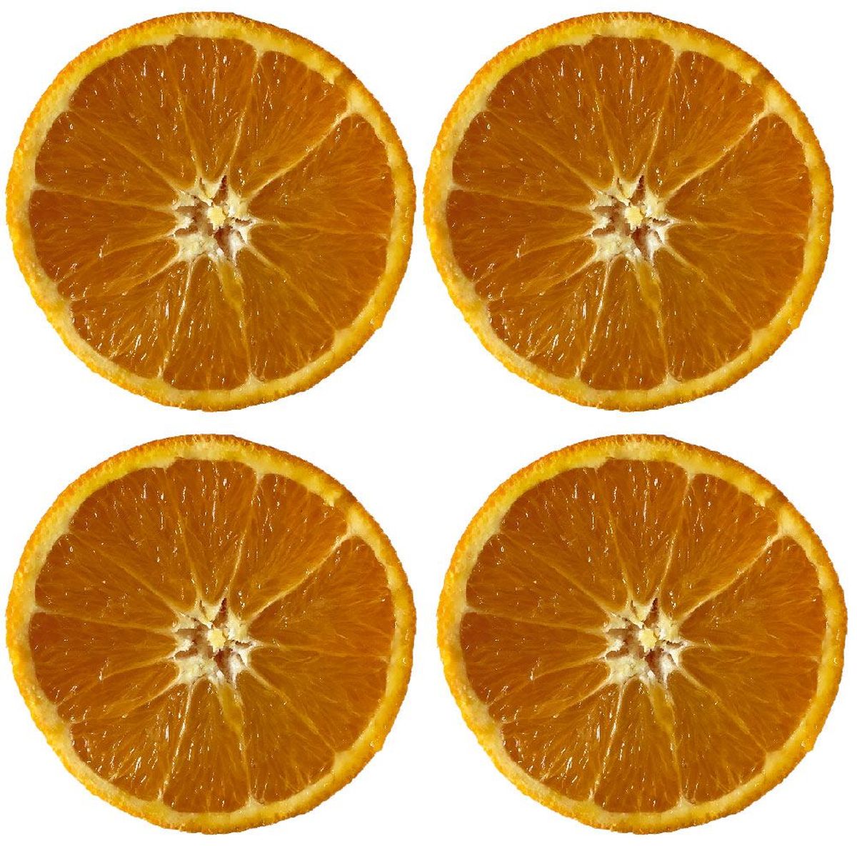 Dessous de verres Agrume by Cbkreation par 4 - L'Orange