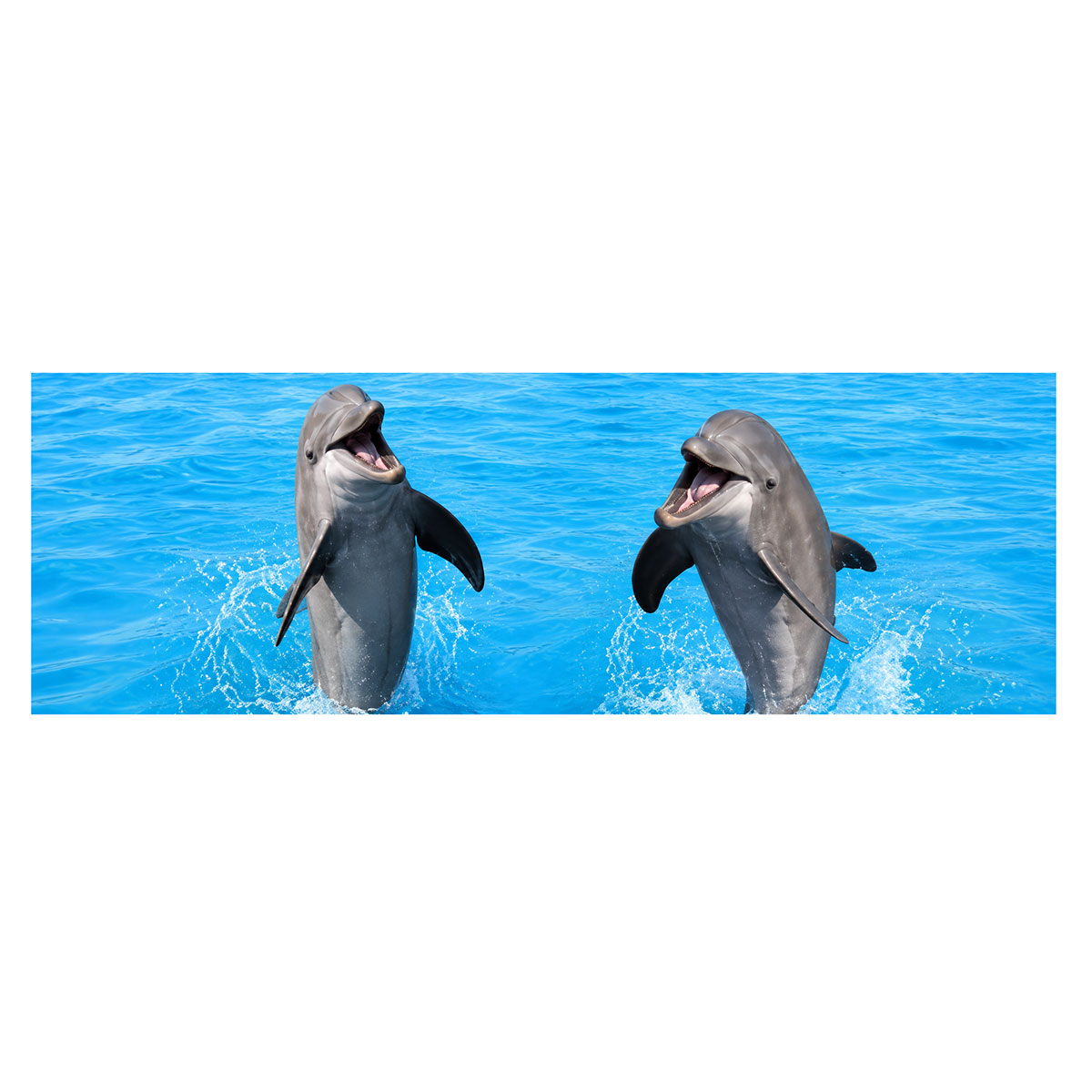 Marque-page Lenticulaire Dauphins