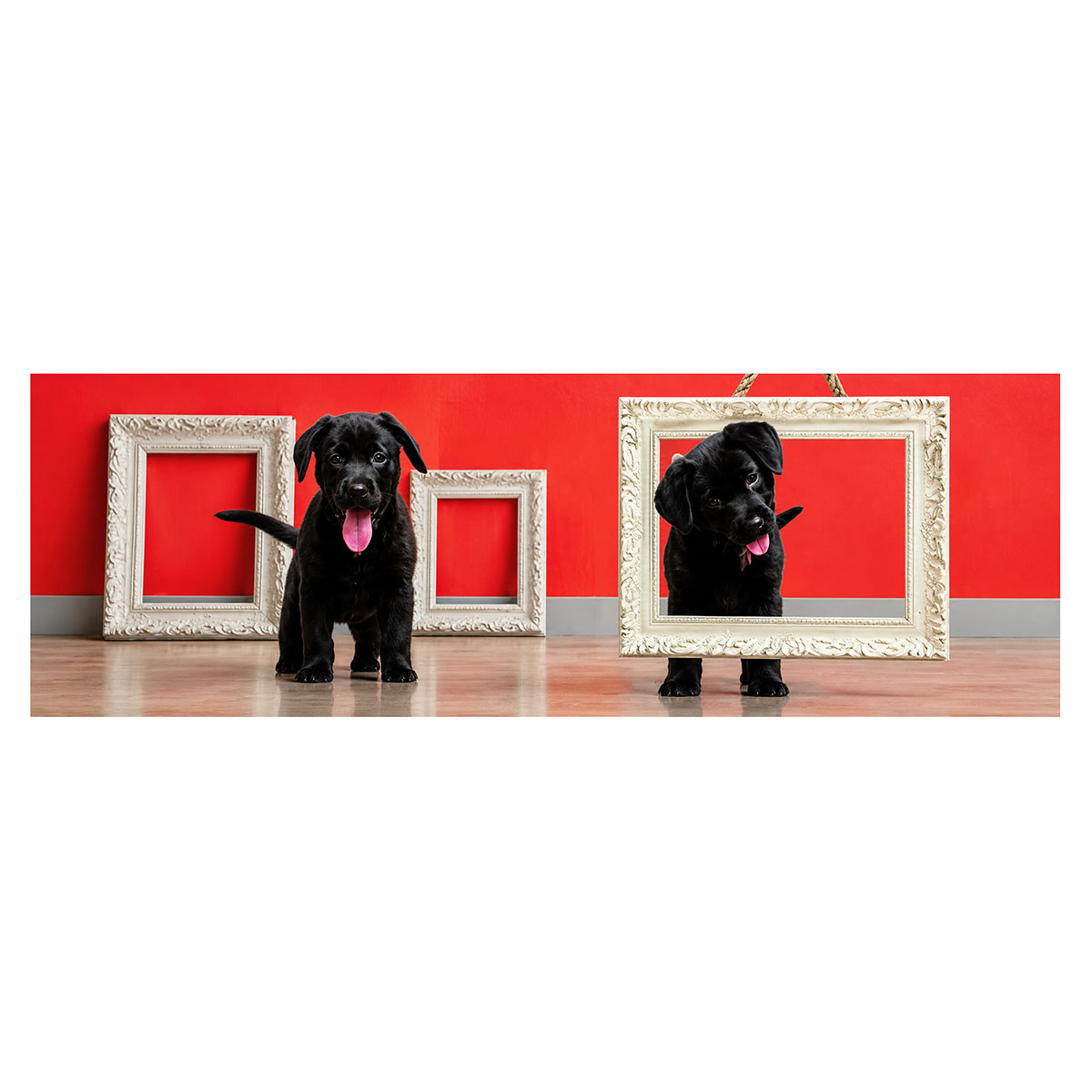 Marque-page Lenticulaire Chiots