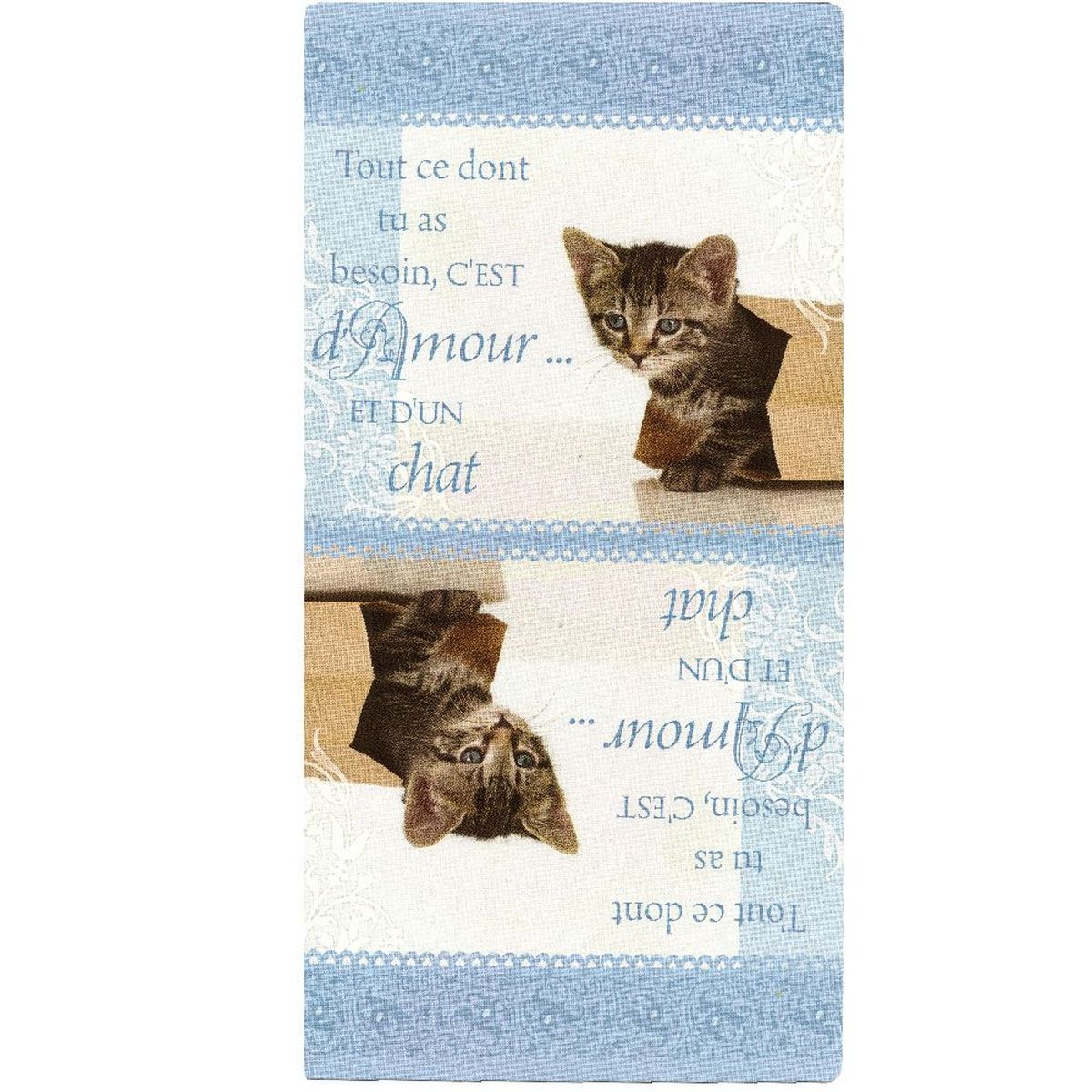 Essuie Main  Message Microfibre 70 x 35 cm : Un chat