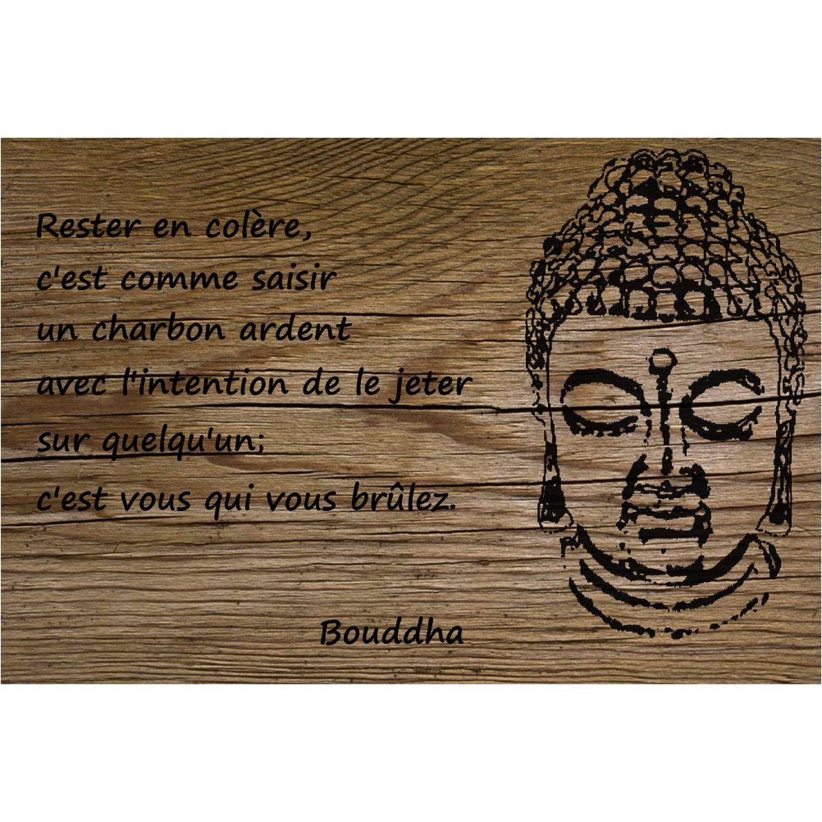 Plaque métal Proverbe - humour