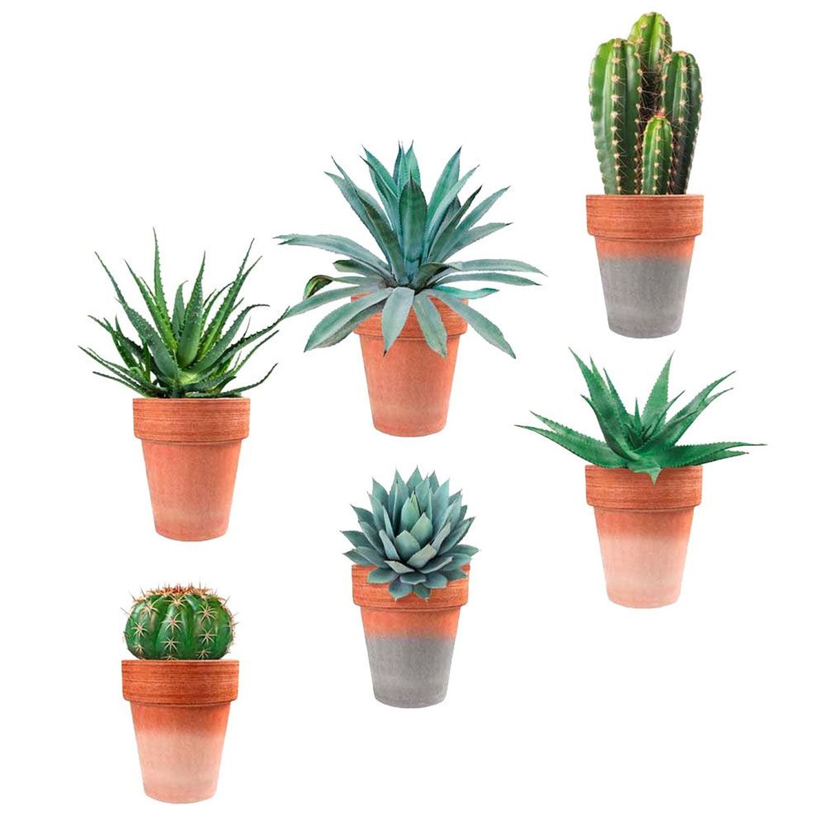 Sticker mural 6 Pots - plantes grasses, cactus et succulents