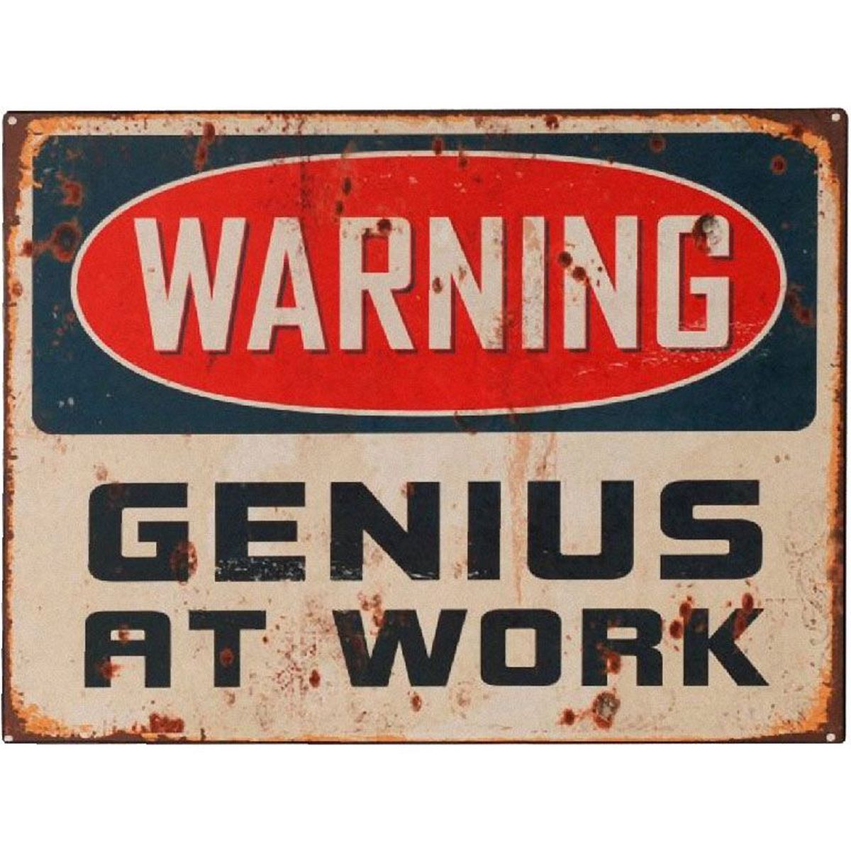 Plaque Dcorative Warning Genius at Work Vintage en mtal