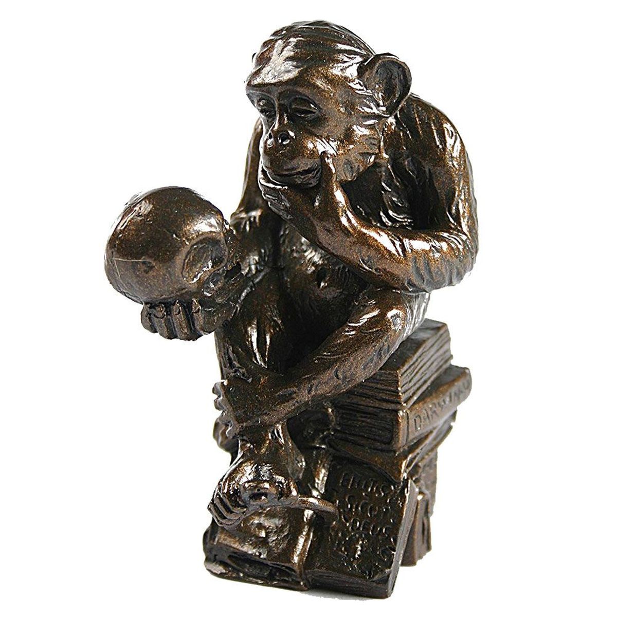 Le Singe Savant de Rheinhold statue de collection 20 cm