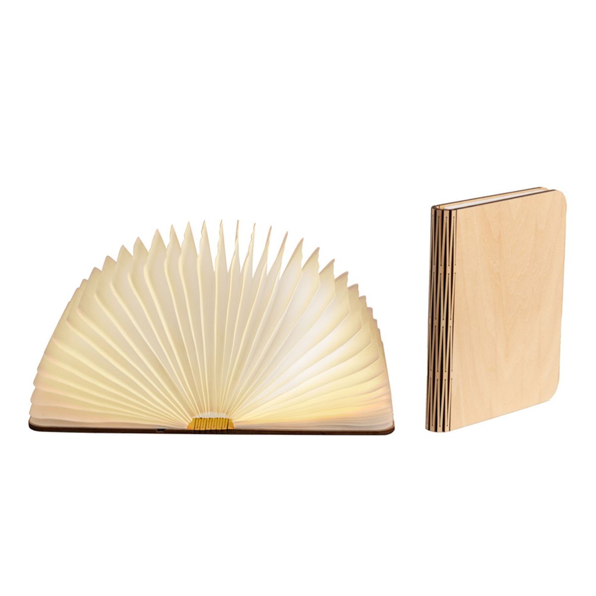 Lampe livre en bois d'rable - taille M