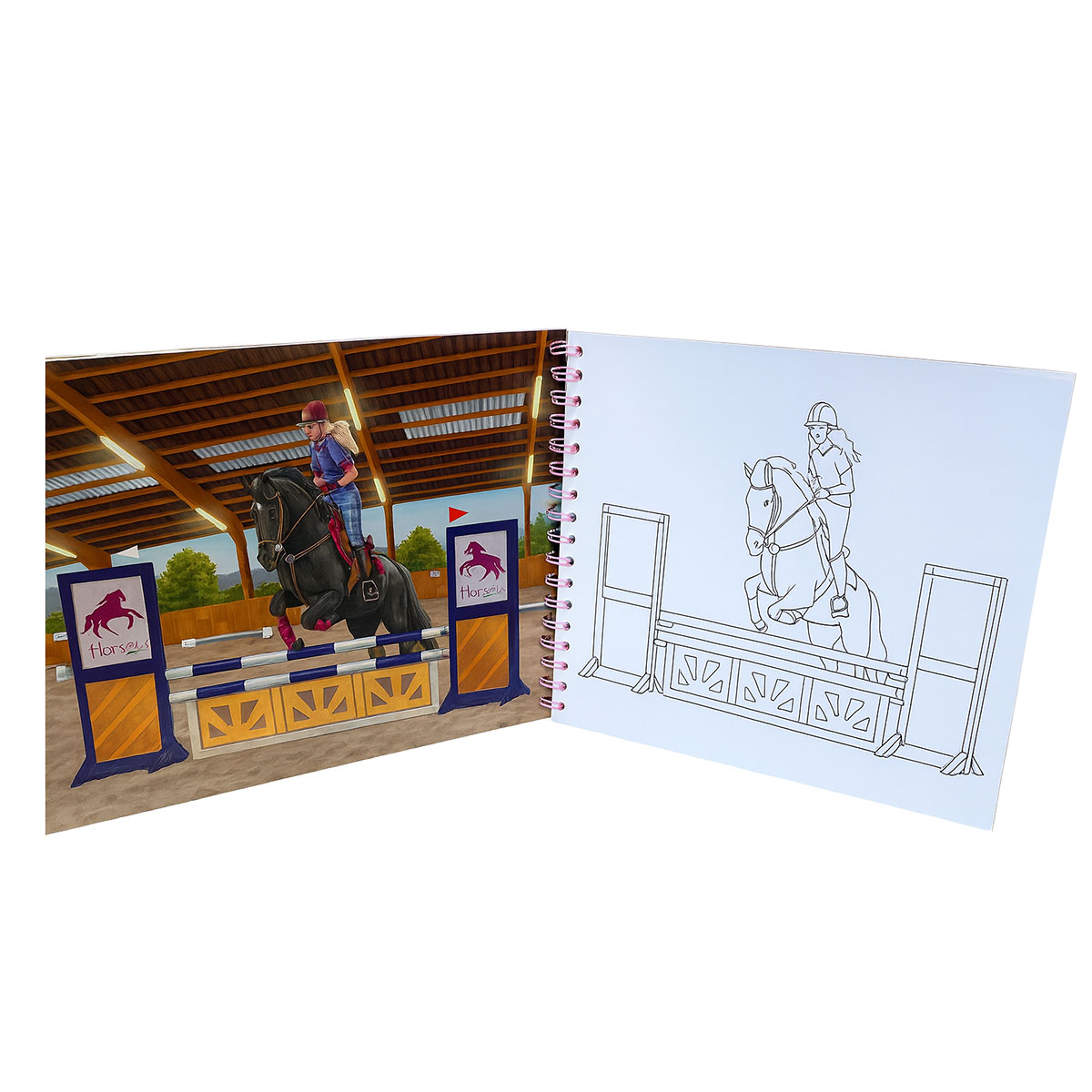 Carnet Atelier de cration chevaux Horses Dreams