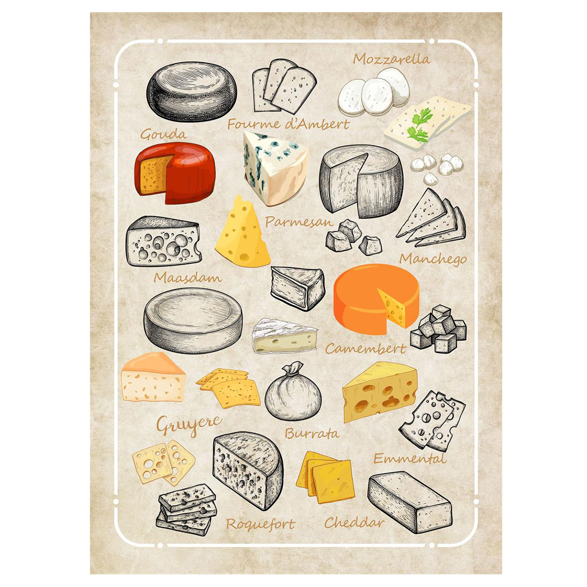 Lot de 3 torchons fromages coton serg� 50 x 70 cm