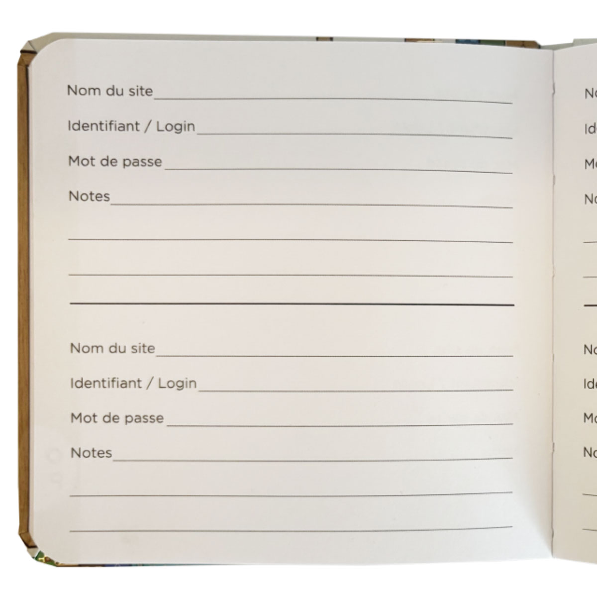 Carnet rpertoire  mots de passe  Chatons dans la bibliothque