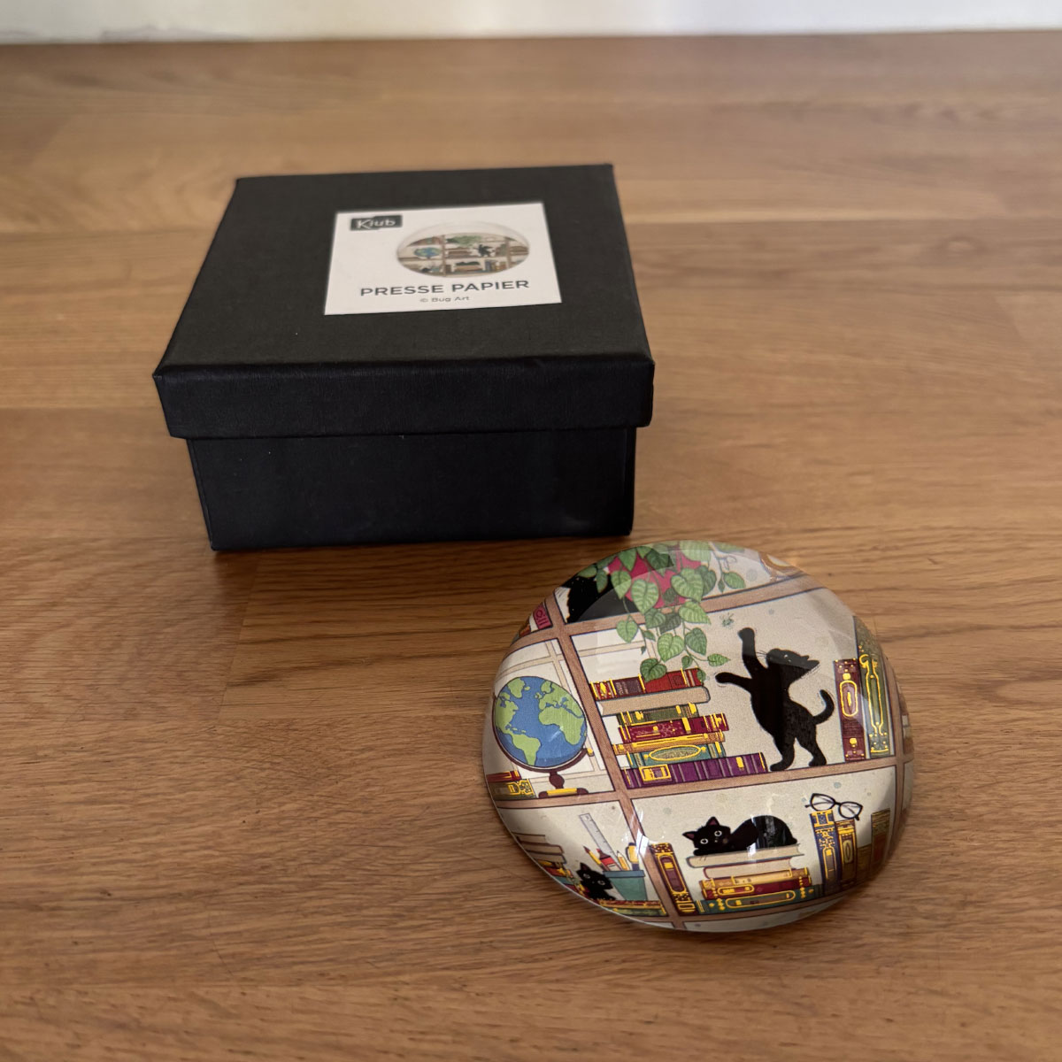 Presse-papier Chatons dans la Bibliothque
