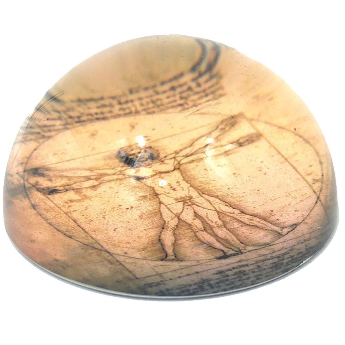 Presse papier Lonard de Vinci - L'homme de Vitruve