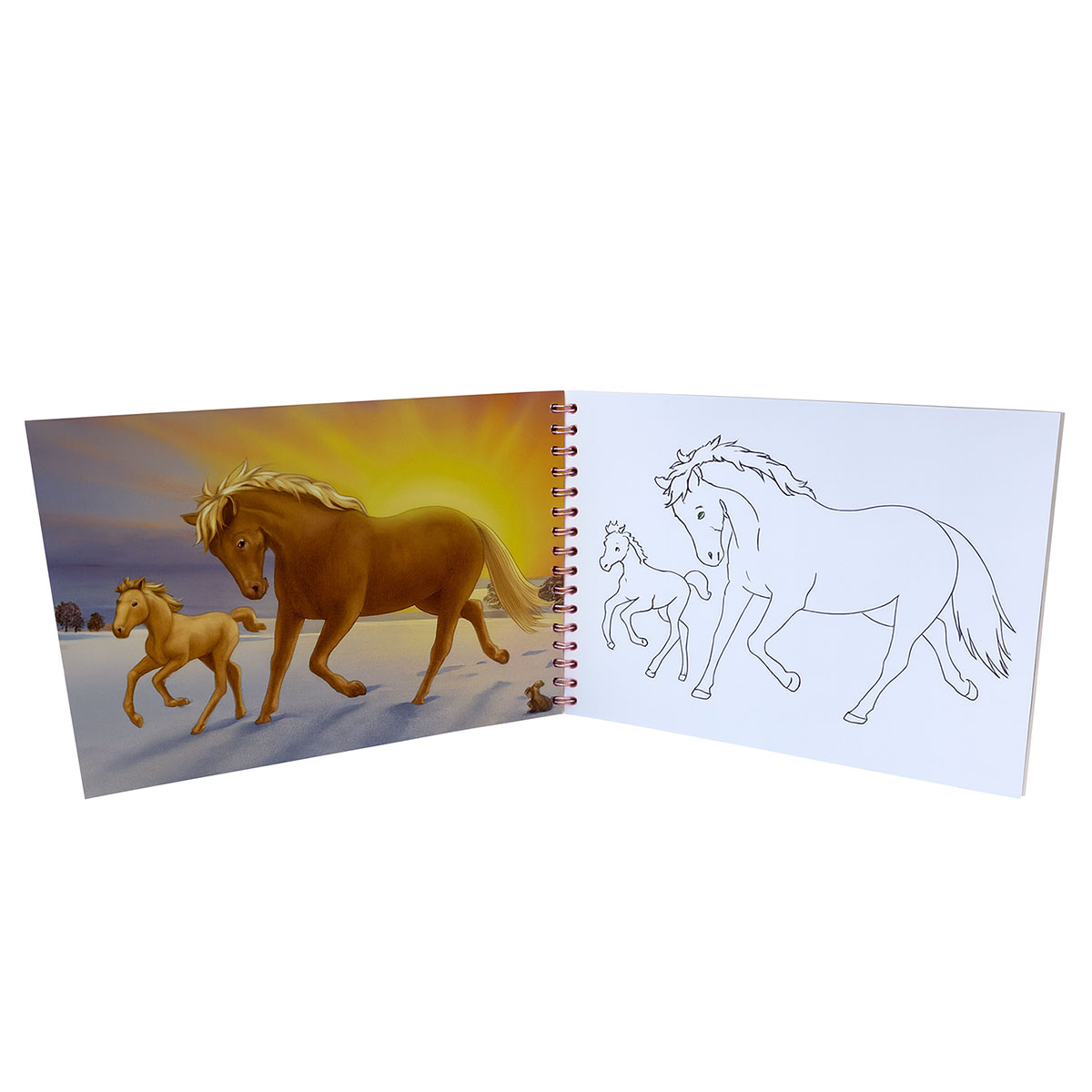 Carnet Atelier de cration chevaux Horses Dreams
