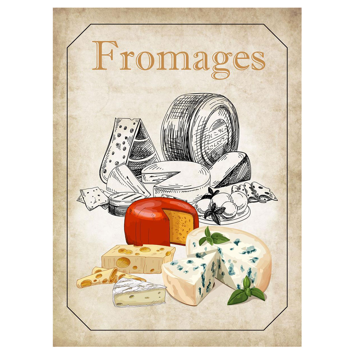 Lot de 3 torchons fromages coton serg� 50 x 70 cm