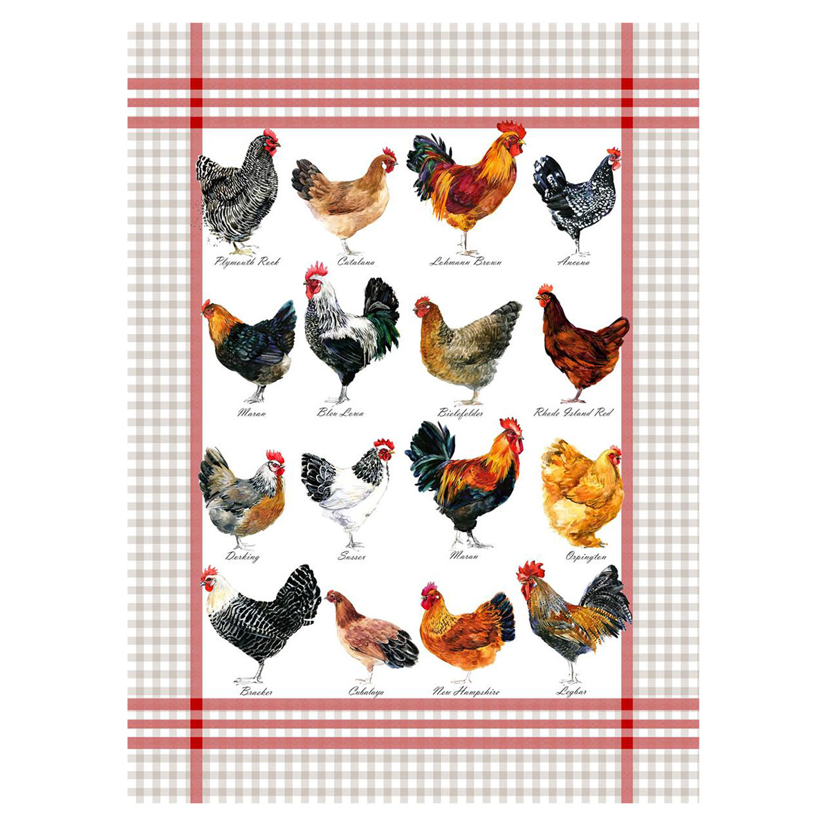 Lot de 3 torchons poules et coqs coton 50 x 70 cm