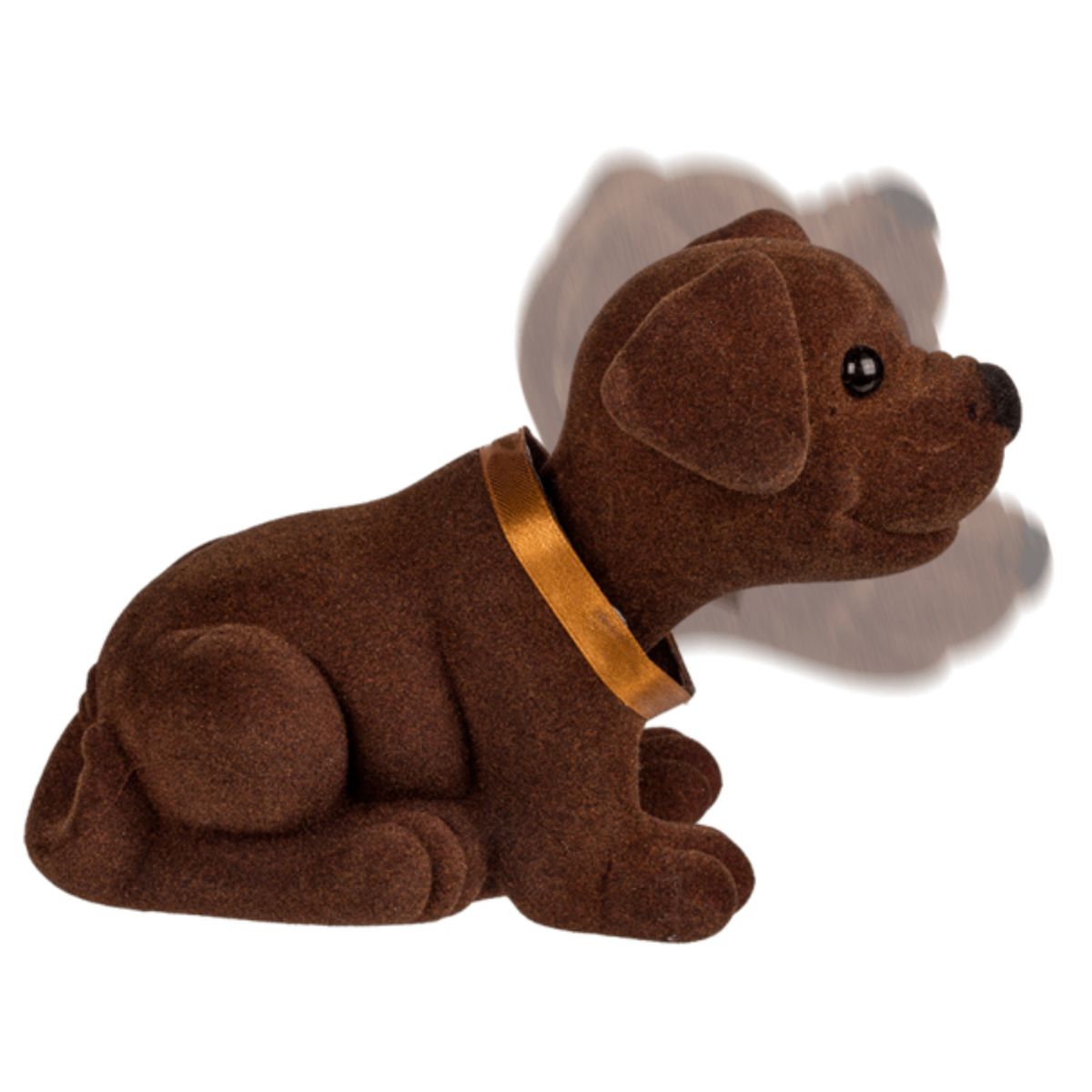 Chien de plage arrière qui dodeline de la tête