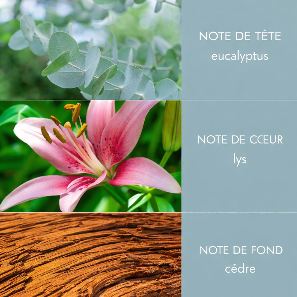 Spray d�ambiance Souffle V�g�tal � 90 ml � Heart & Home