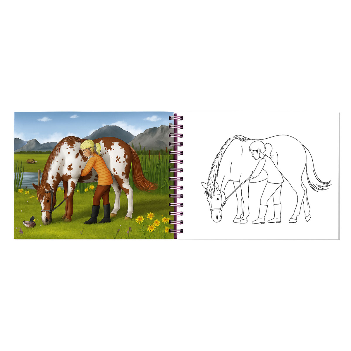 Carnet Atelier de cration chevaux Horses Dreams