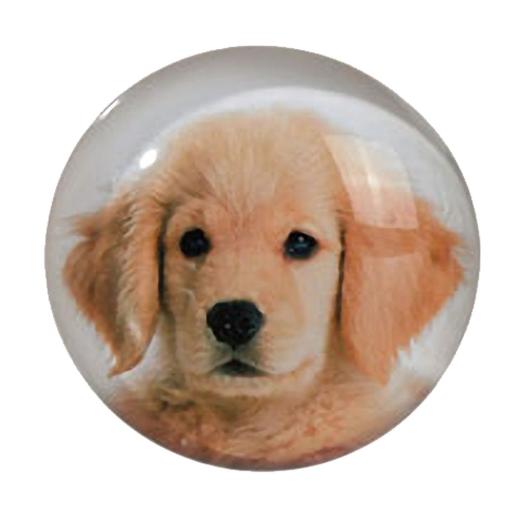 Magnet chiot Golden Retriever en verre 3.5 cm