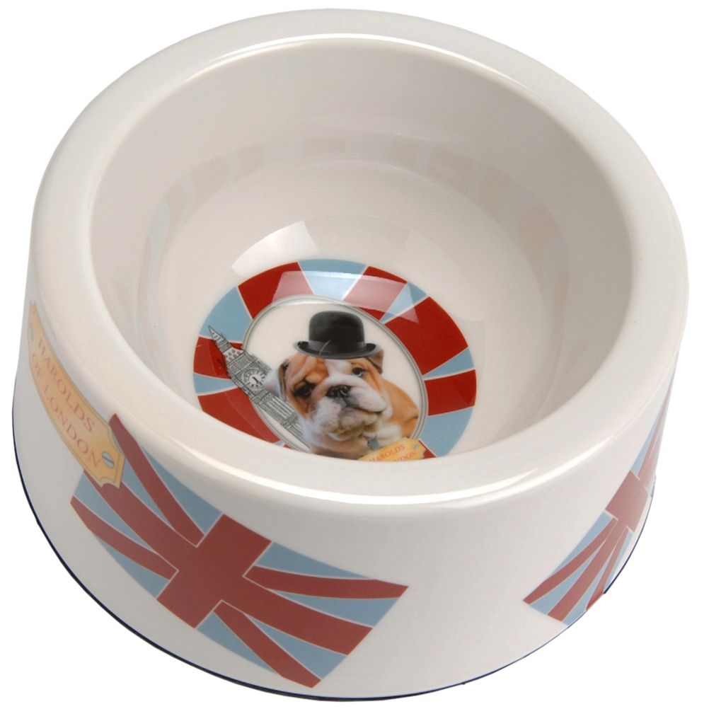 Gamelle Chien So British 18 cm