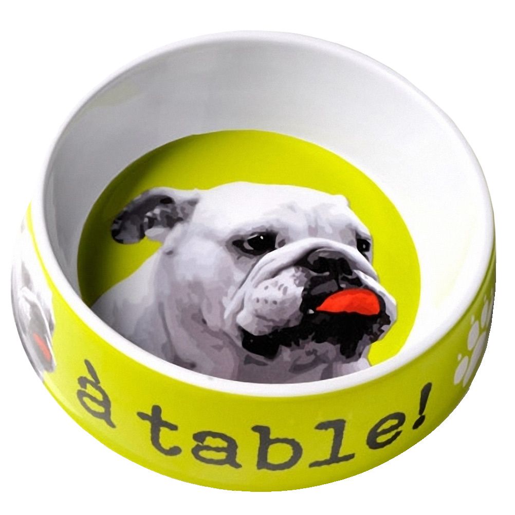 Gamelle Chien Vert Anis -  A Table - Pour Grand Chien