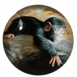 Magnet bébé chimpanzé en verre 3.5 cm
