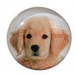 Magnet chiot Golden Retriever en verre 3.5 cm