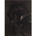 Cadre en toile imprime Cheval noir et blanc 50 x 40 cm