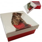 Boite Chaton en carton rouge et blanche taille 3