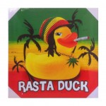 Cadre Rasta Duck en toile 40 x 40 cm