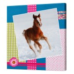 Cadre Cheval Patchwork en toile imprim�e Poulain 28 x 28 cm