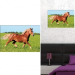 Cadre Cheval galopant dans l'herbe en toile imprime 60 x 40