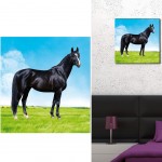 Cadre en toile imprime Cheval Noir 40 x 40 cm