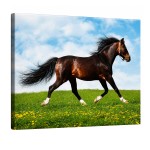 Cadre en toile cheval au galop prairie 30 x 40 cm