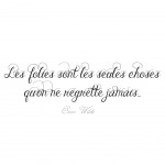 Stickers Citation Les Folies sont les seules choses...
